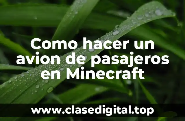 Como hacer un avion de pasajeros en Minecraft