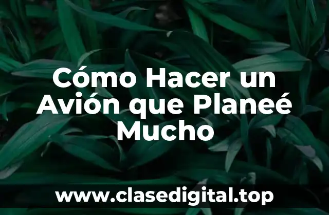 Cómo Hacer un Avión que Planeé Mucho