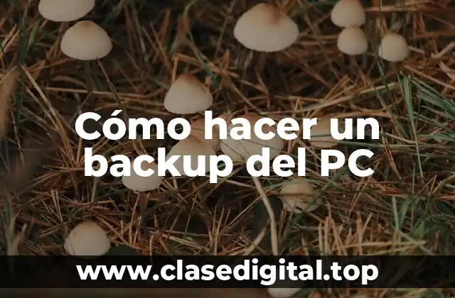 Cómo hacer un backup del PC