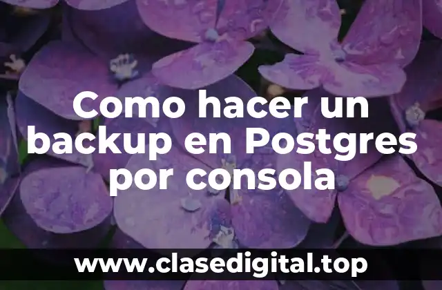 Como hacer un backup en Postgres por consola