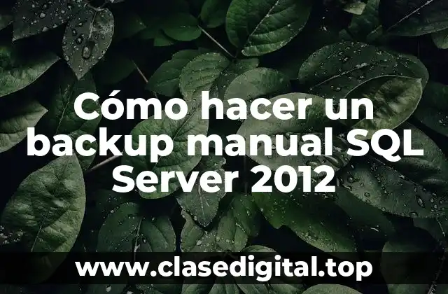 Cómo hacer un backup manual SQL Server 2012