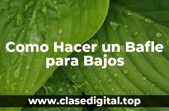 Como Hacer un Bafle para Bajos