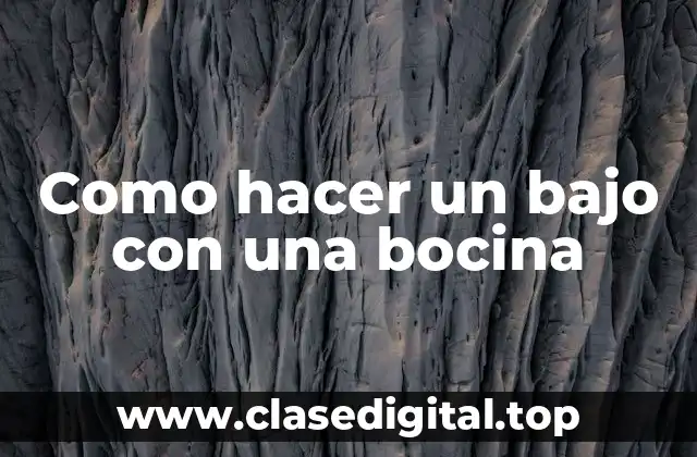 Como hacer un bajo con una bocina