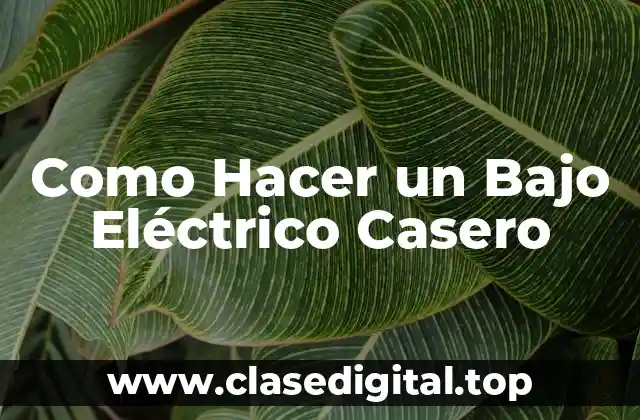 Como Hacer un Bajo Eléctrico Casero