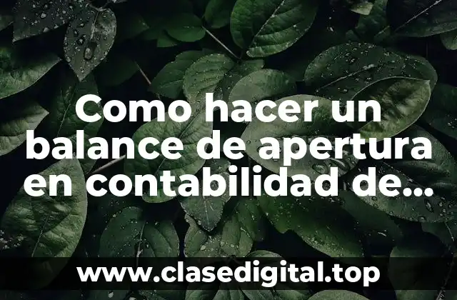 El balance de apertura en contabilidad de seguros