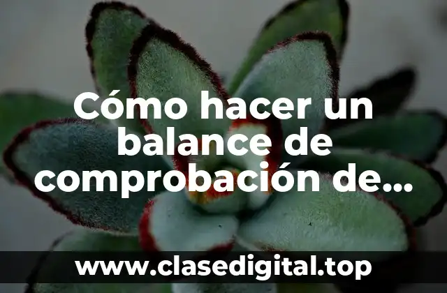 Cómo hacer un balance de comprobación de sumas y saldos