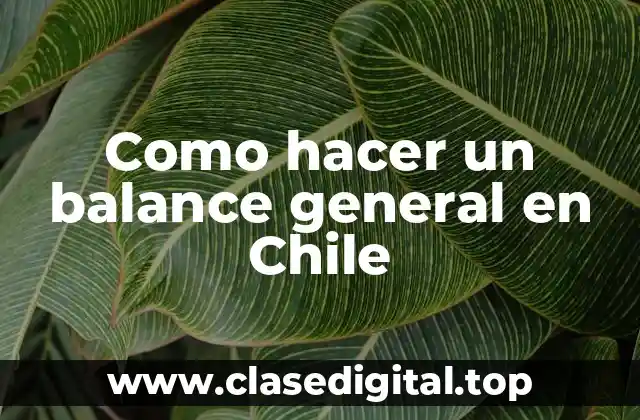 Como hacer un balance general en Chile