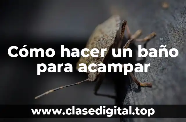 Cómo hacer un baño para acampar