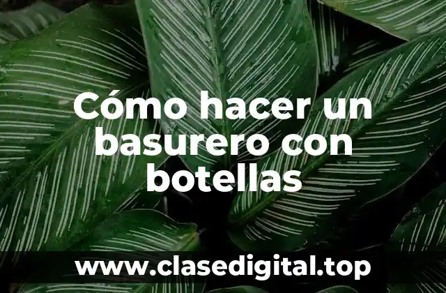 Cómo hacer un basurero con botellas