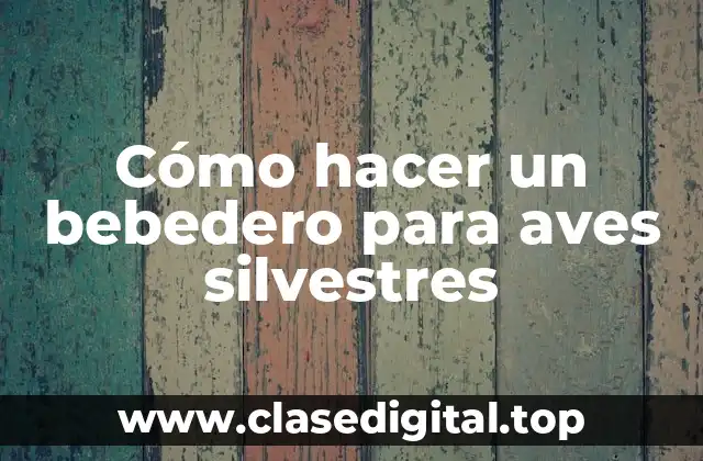 Cómo hacer un bebedero para aves silvestres