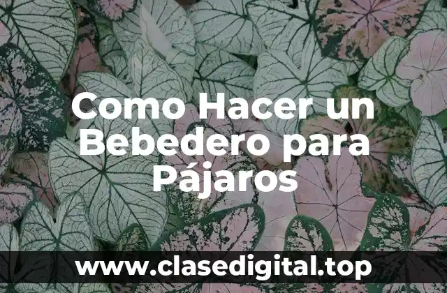 Como Hacer un Bebedero para Pájaros