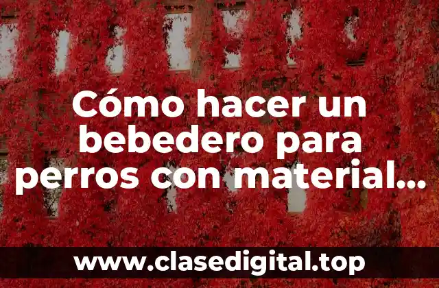 Cómo hacer un bebedero para perros con material reciclado