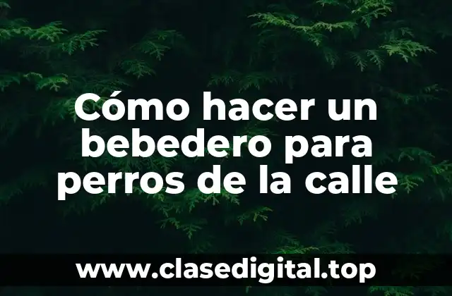 Cómo hacer un bebedero para perros de la calle