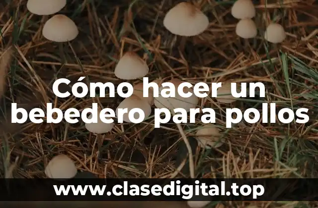 Cómo hacer un bebedero para pollos