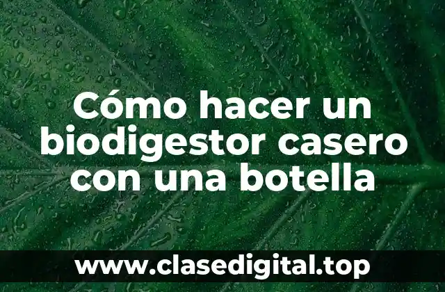 Cómo hacer un biodigestor casero con una botella