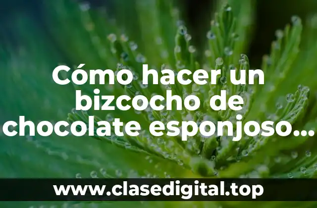 Cómo hacer un bizcocho de chocolate esponjoso en el microondas