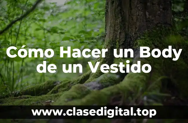 Cómo Hacer un Body de un Vestido