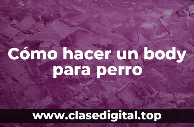 ¿Qué es un body para perro y para qué sirve?