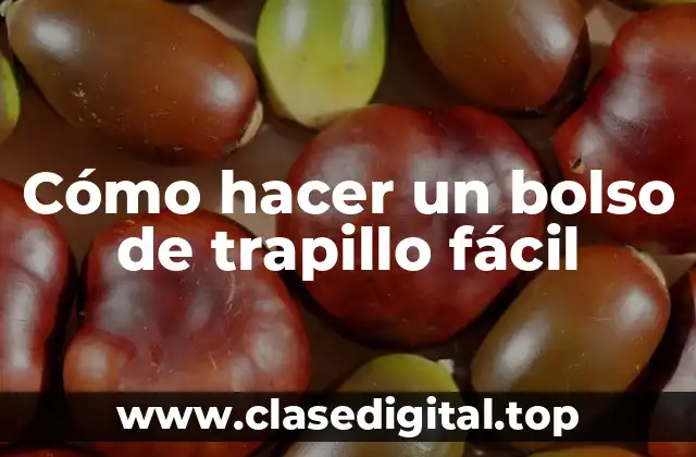 Cómo hacer un bolso de trapillo fácil