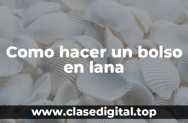 Como hacer un bolso en lana