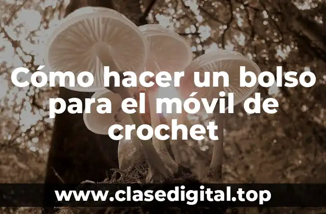 Cómo hacer un bolso para el móvil de crochet