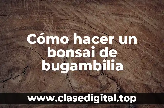Cómo hacer un bonsai de bugambilia