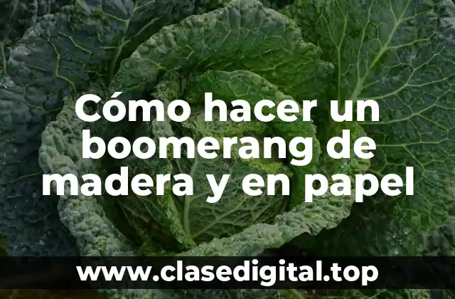 Cómo hacer un boomerang de madera y en papel
