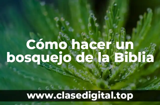 ¿Qué es un bosquejo de la Biblia?