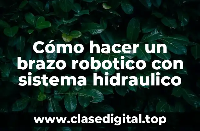 Cómo hacer un brazo robotico con sistema hidraulico