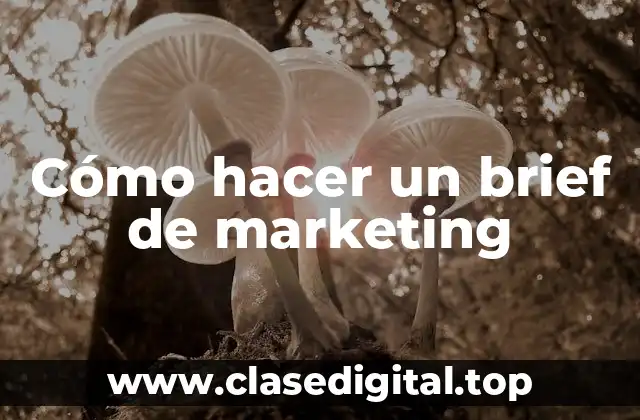 Cómo hacer un brief de marketing
