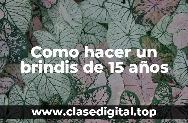 Como hacer un brindis de 15 años