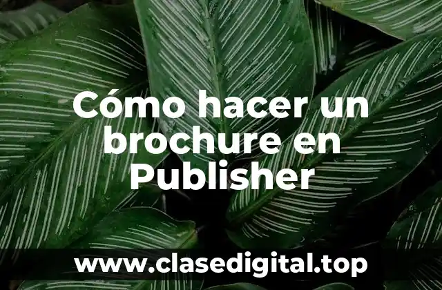 Cómo hacer un brochure en Publisher