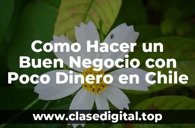 Como Hacer un Buen Negocio con Poco Dinero en Chile