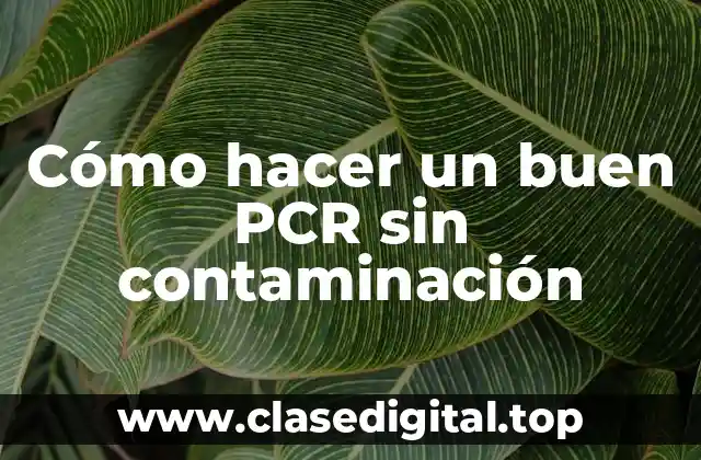 Cómo hacer un buen PCR sin contaminación