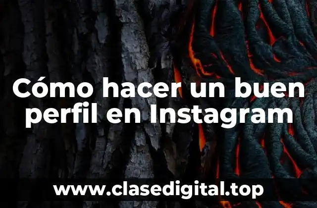 Cómo hacer un buen perfil en Instagram
