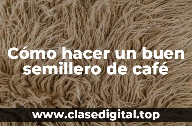 Cómo hacer un buen semillero de café