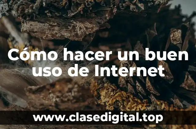 Cómo hacer un buen uso de Internet