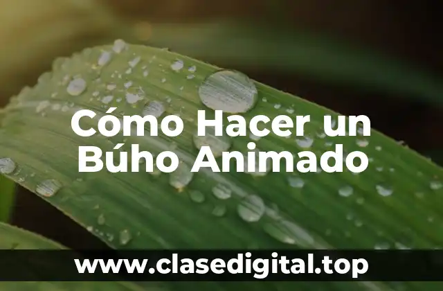 Cómo Hacer un Búho Animado