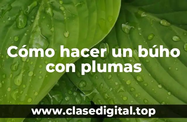 Cómo hacer un búho con plumas