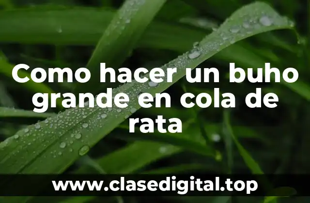 ¿Qué es un buho grande en cola de rata?