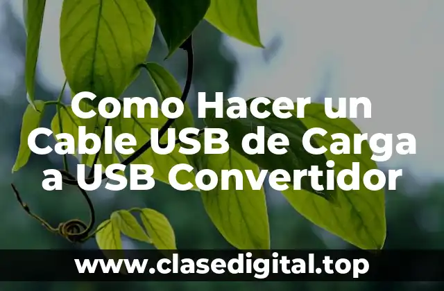 ¿Qué es un Convertidor de Carga USB?