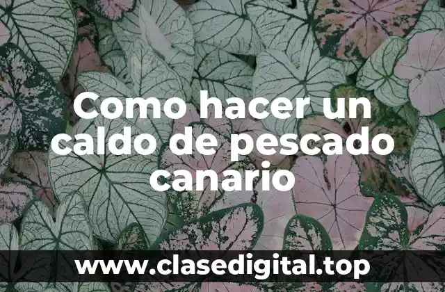 Como hacer un caldo de pescado canario