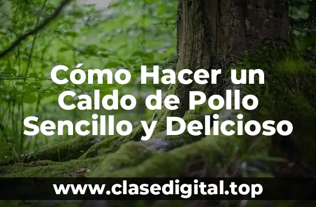 Cómo Hacer un Caldo de Pollo Sencillo y Delicioso