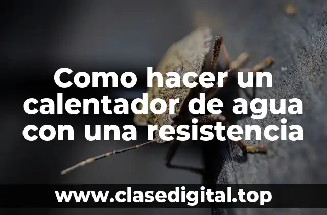 Como hacer un calentador de agua con una resistencia