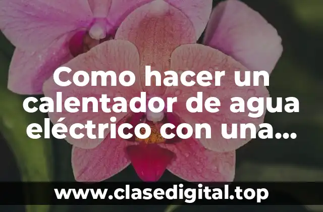 Como hacer un calentador de agua eléctrico con una resistencia