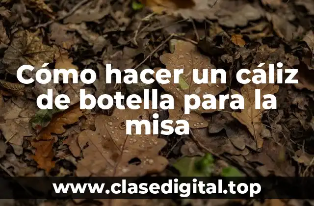 ¿Qué es un cáliz de botella y para qué sirve?