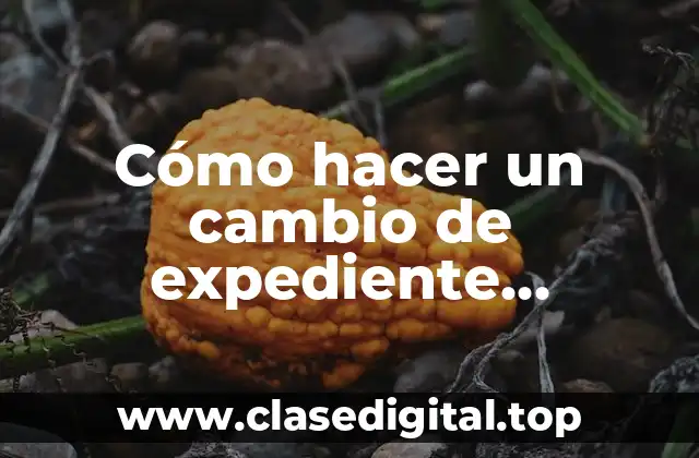 Cómo hacer un cambio de expediente universitario