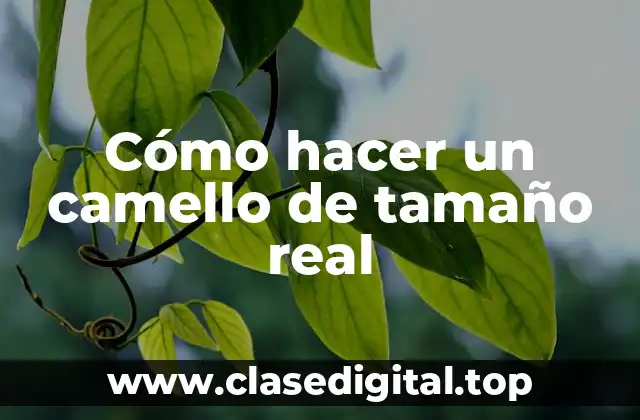 Cómo hacer un camello de tamaño real