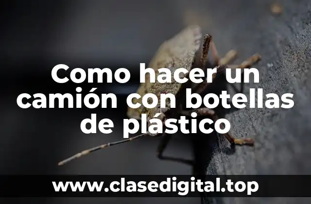 Como hacer un camión con botellas de plástico