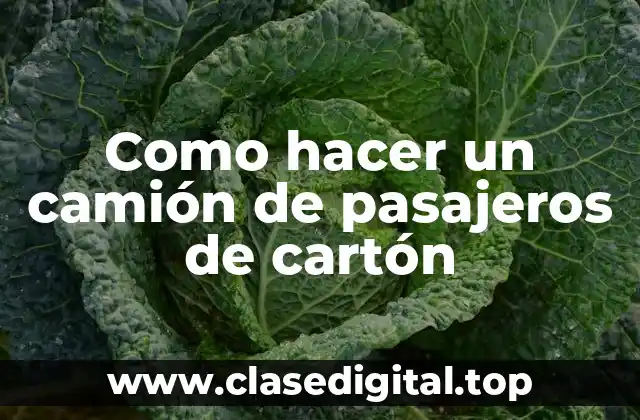 ¿Qué es un camión de pasajeros de cartón?